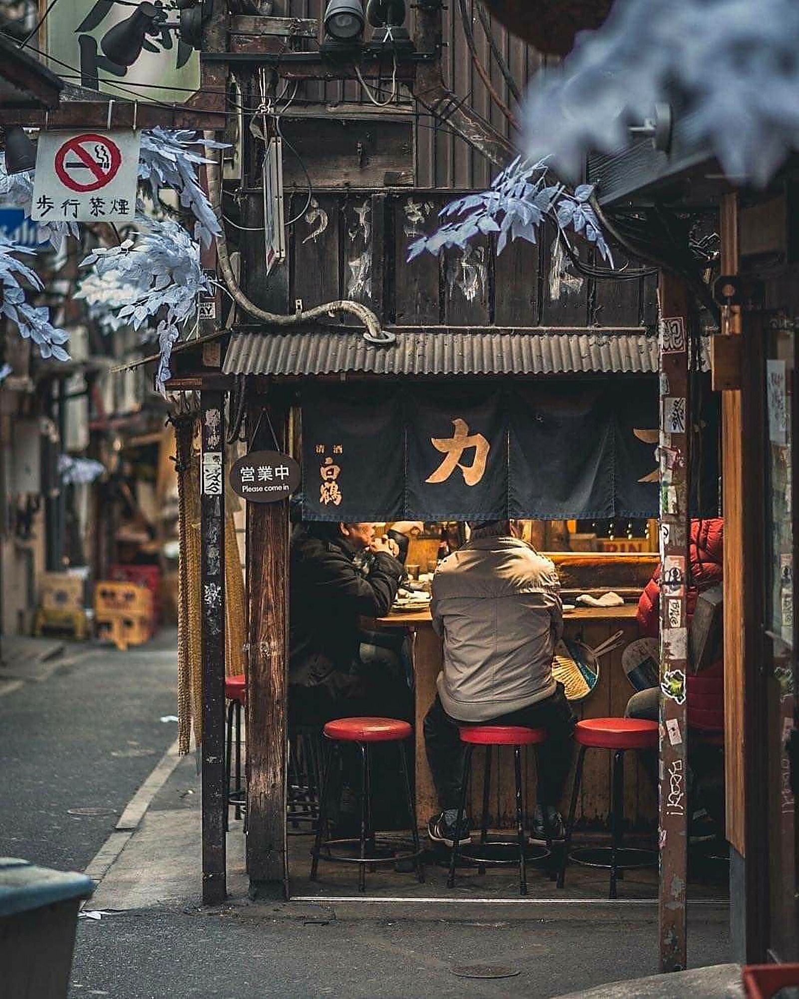 Un día para Kioto y para ustedes, Kioto